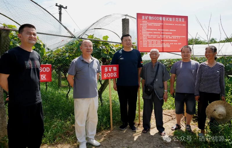 潛心求索特色農(nóng)業(yè)新質(zhì)生產(chǎn)力 助力富硒功能農(nóng)業(yè)高質(zhì)量發(fā)展——桃源縣富硒產(chǎn)業(yè)最新科研成果簡(jiǎn)介