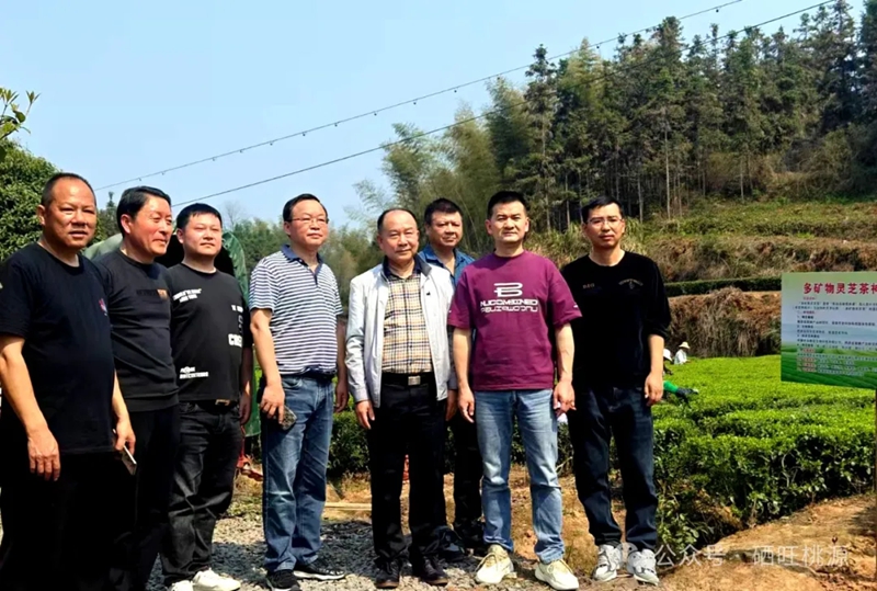 【祝賀】聖仙界牌“富硒營養(yǎng)素茶”獲CCTV中視購物國貨優(yōu)品品牌